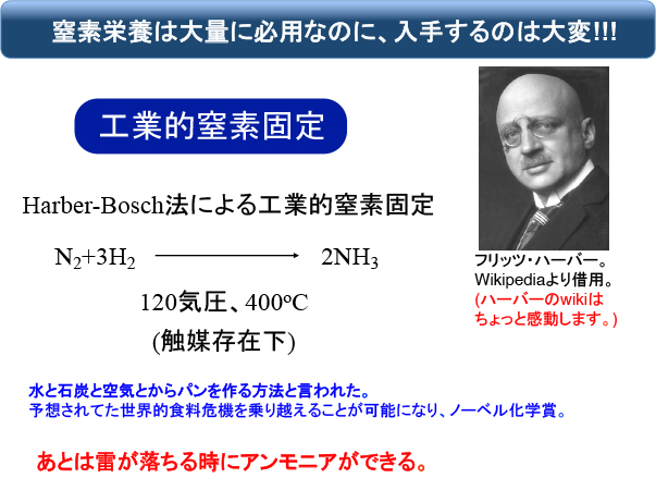 窒素固定法